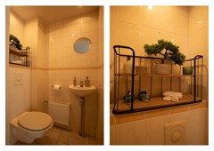 Paired Photo 3.jpg